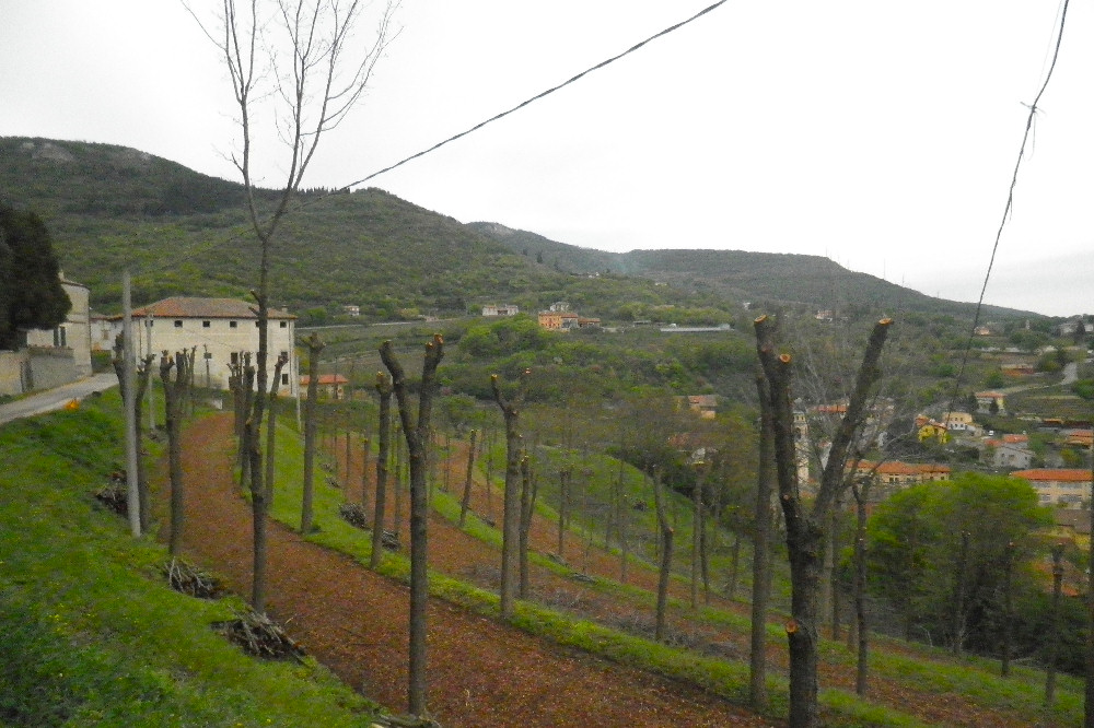 Villaga, San Donato, Scudellette, monte Cengia, Barbarano Vicentino
