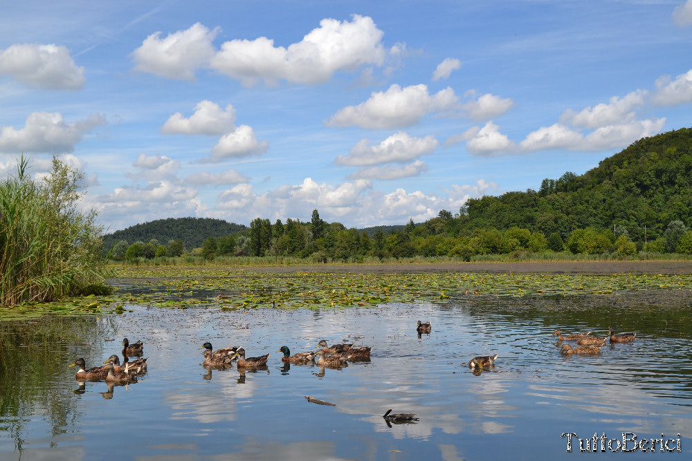 Lago-di-Fimon05