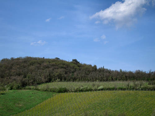 Pista Ciclabile della Riviera Berica