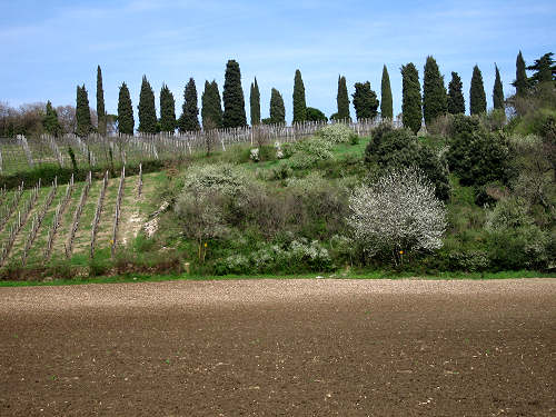 Pista Ciclabile della Riviera Berica