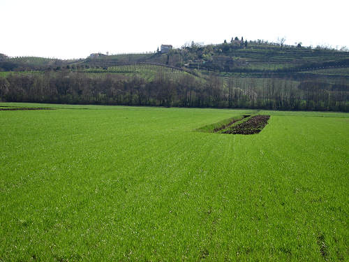 Pista Ciclabile della Riviera Berica