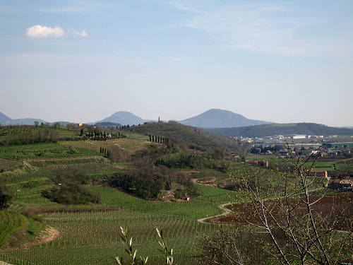 Pista Ciclabile della Riviera Berica