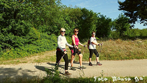 Nordic-Walking