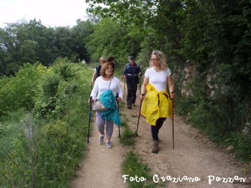 Nordic-Walking