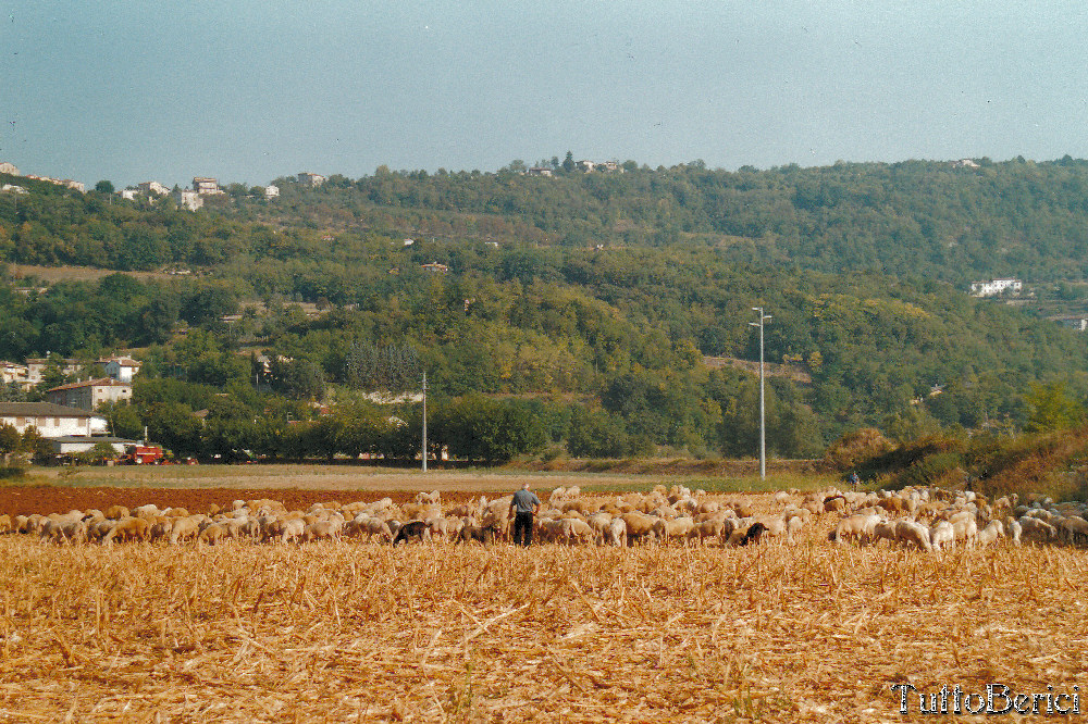 Val Liona