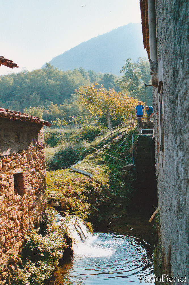 Val Liona