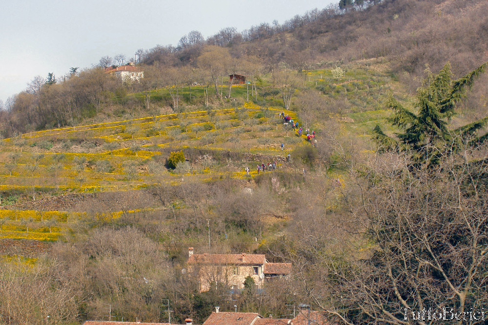 Monti Comunali di Brendola