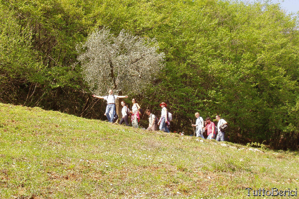 Mossano, Valle dei Mulini, Grotta di San Bernardino