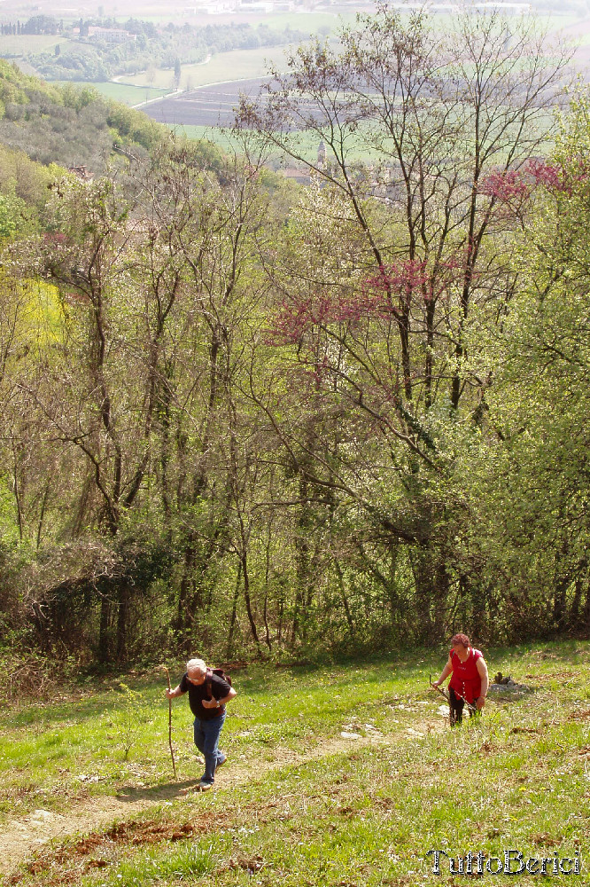 Mossano, Valle dei Mulini, Grotta di San Bernardino