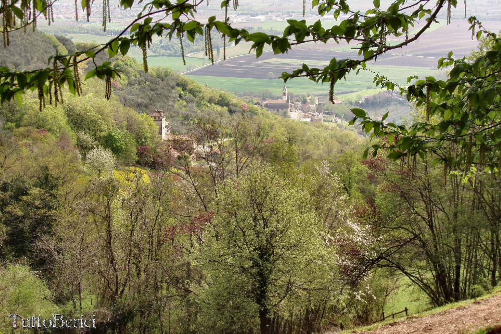 Mossano, Valle dei Mulini, Grotta di San Bernardino