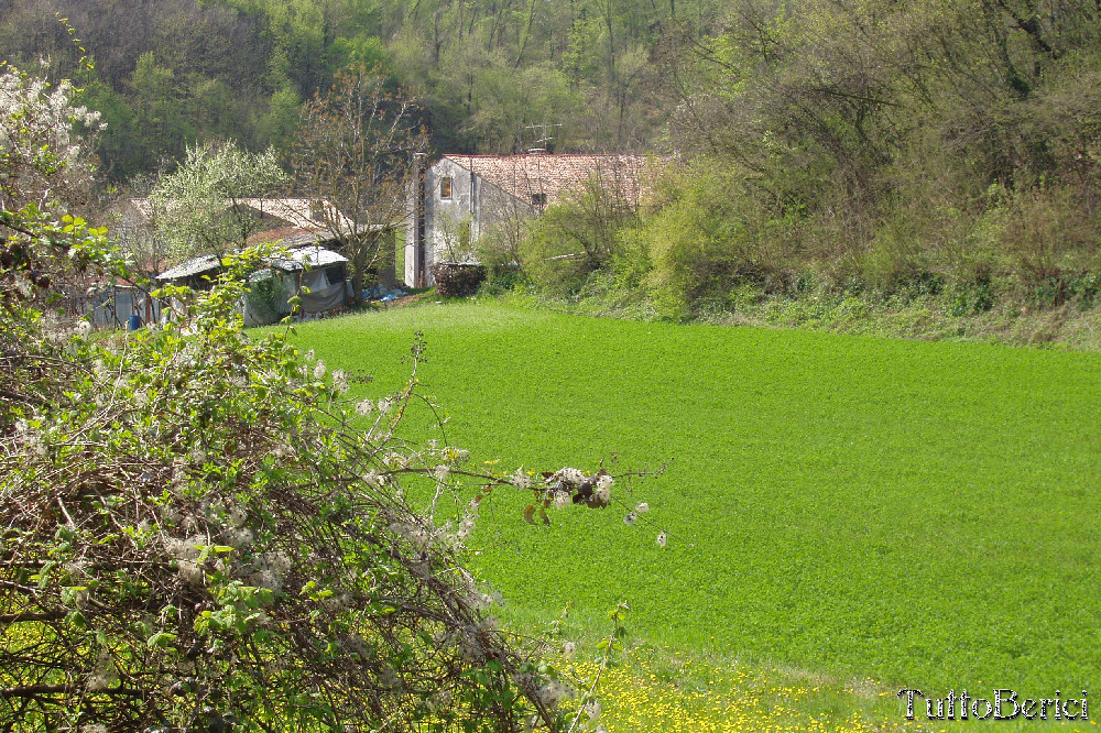 Mossano, Valle dei Mulini, Grotta di San Bernardino
