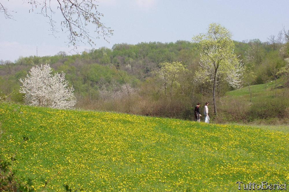 Mossano, Valle dei Mulini, Grotta di San Bernardino