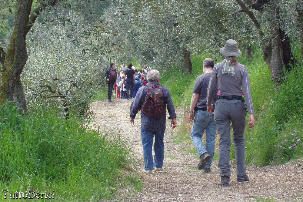 Mossano, Valle dei Mulini, Grotta di San Bernardino