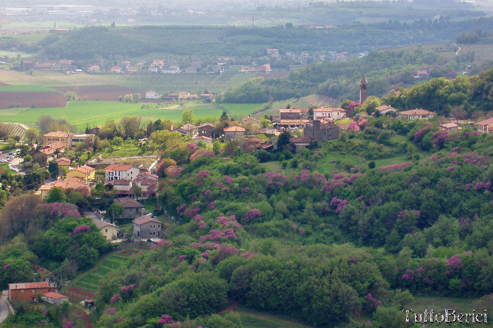 Mossano, Valle dei Mulini, Grotta di San Bernardino