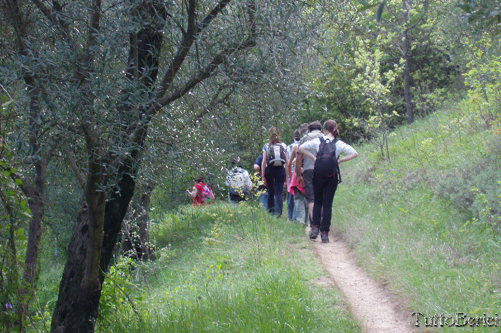 Mossano, Valle dei Mulini, Grotta di San Bernardino