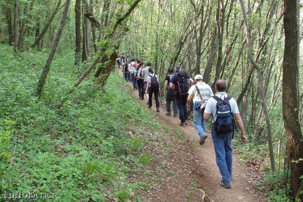 Mossano, Valle dei Mulini, Grotta di San Bernardino