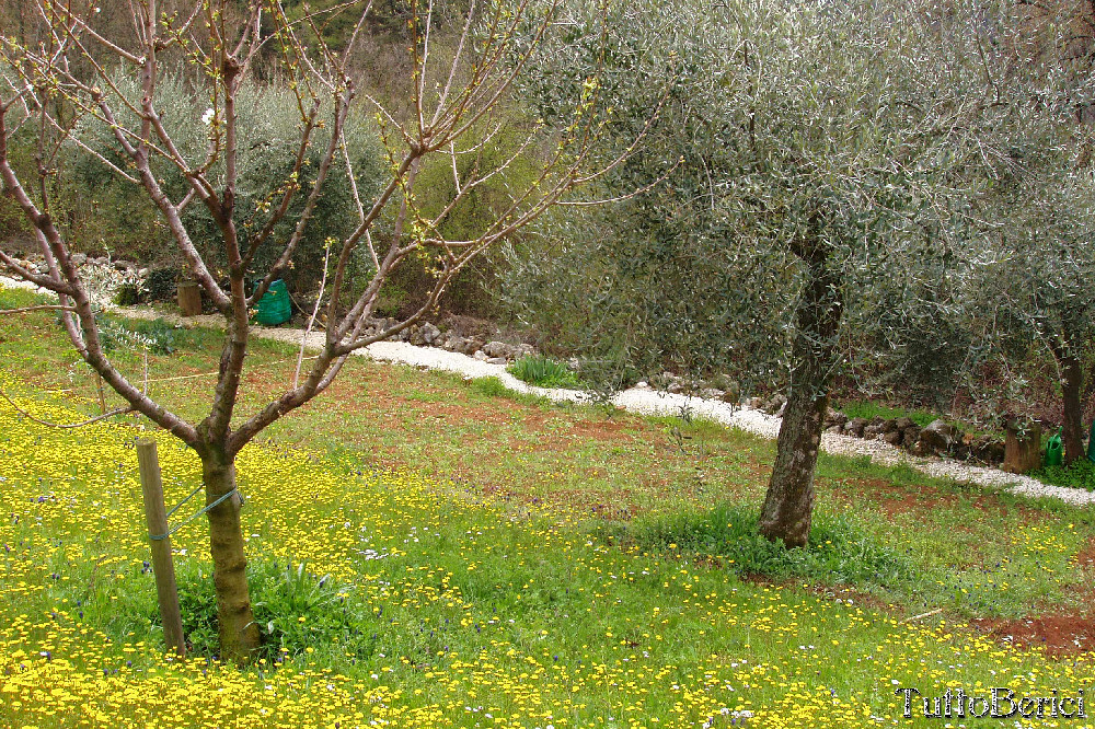Priare di Zovencedo
