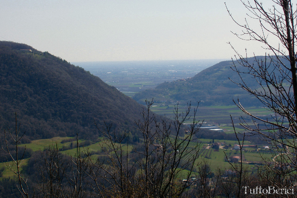 Val Liona