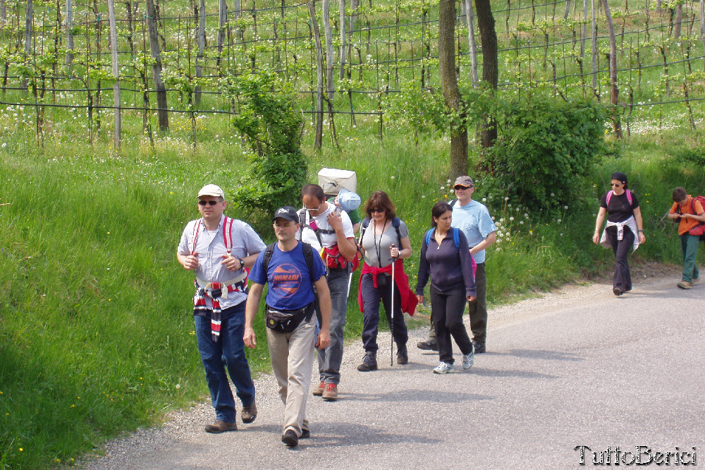 Valle dei Mulini di Fimon