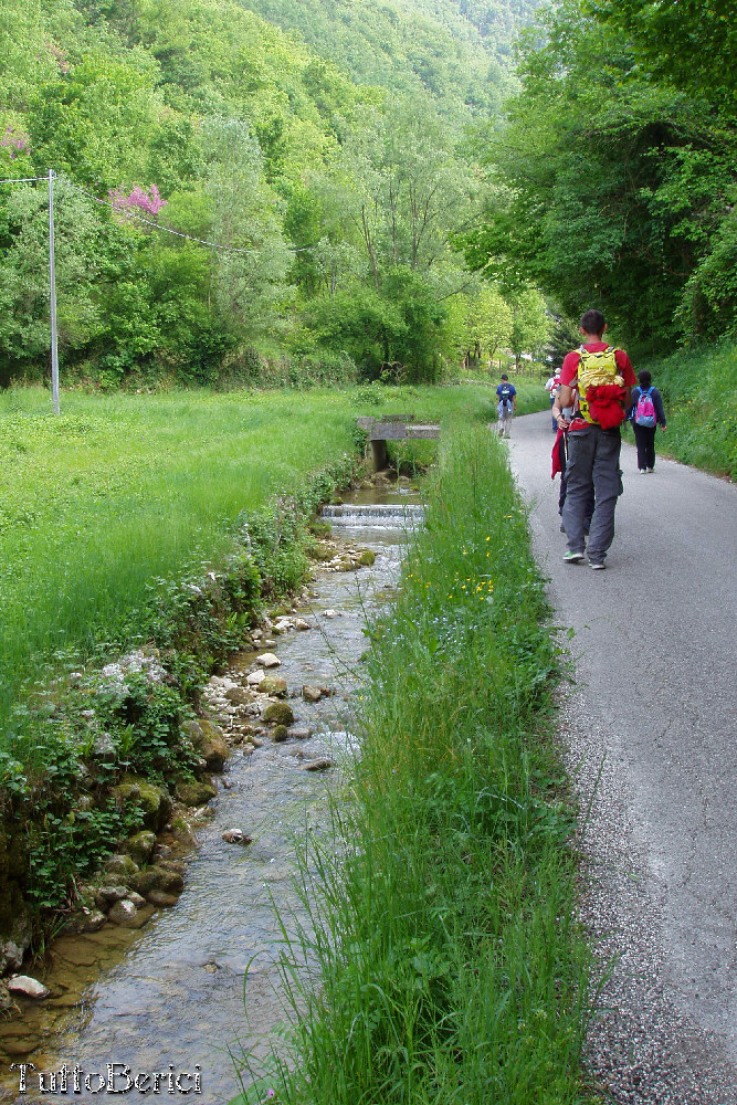 Valle dei Mulini di Fimon