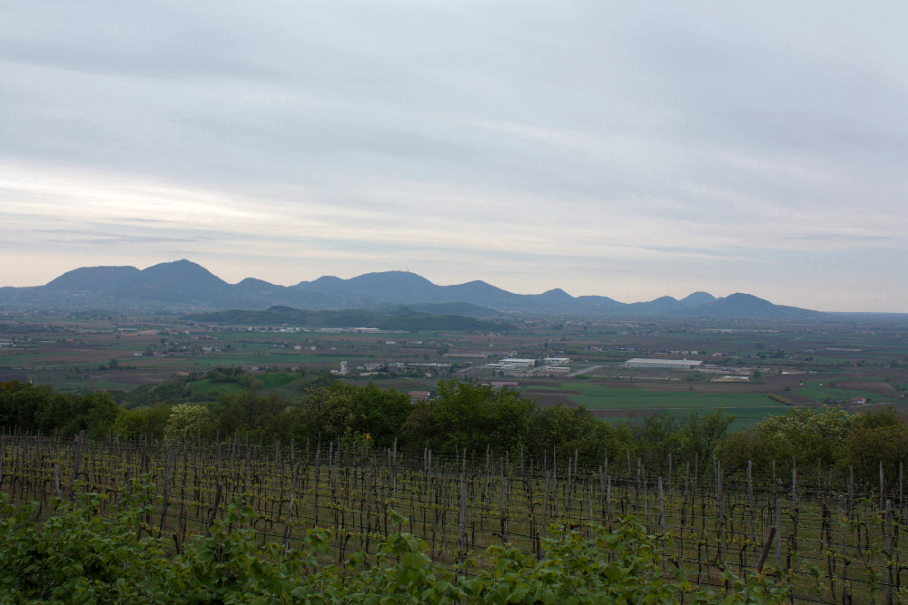 Villaga, San Donato, Scudellette, monte Cengia, Barbarano Vicentino