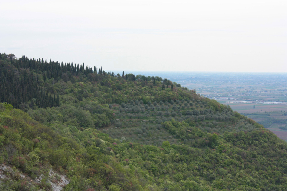 Villaga, San Donato, Scudellette, monte Cengia, Barbarano Vicentino