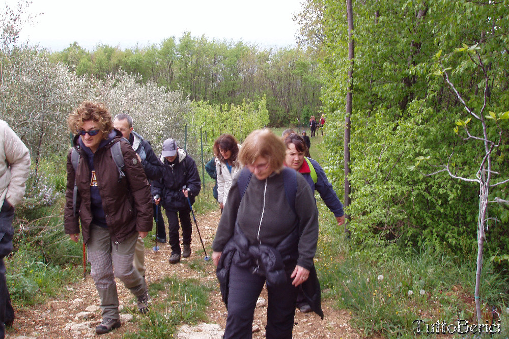 Villaga, San Donato, Scudellette, monte Cengia, Barbarano Vicentino