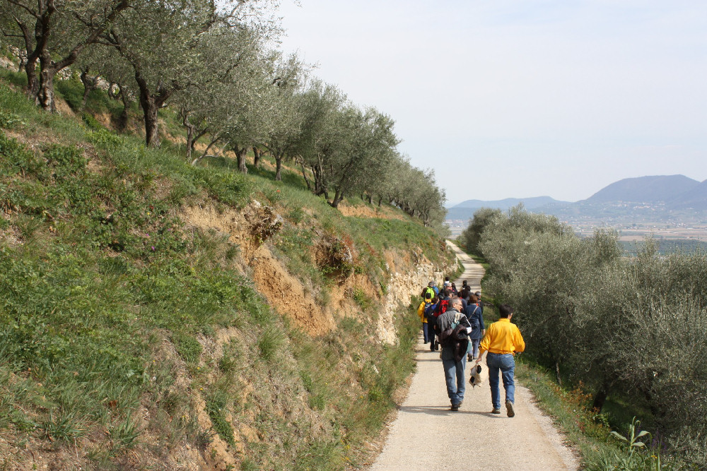 Villaga, San Donato, Scudellette, monte Cengia, Barbarano Vicentino