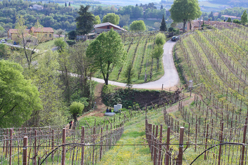 Villaga, San Donato, Scudellette, monte Cengia, Barbarano Vicentino