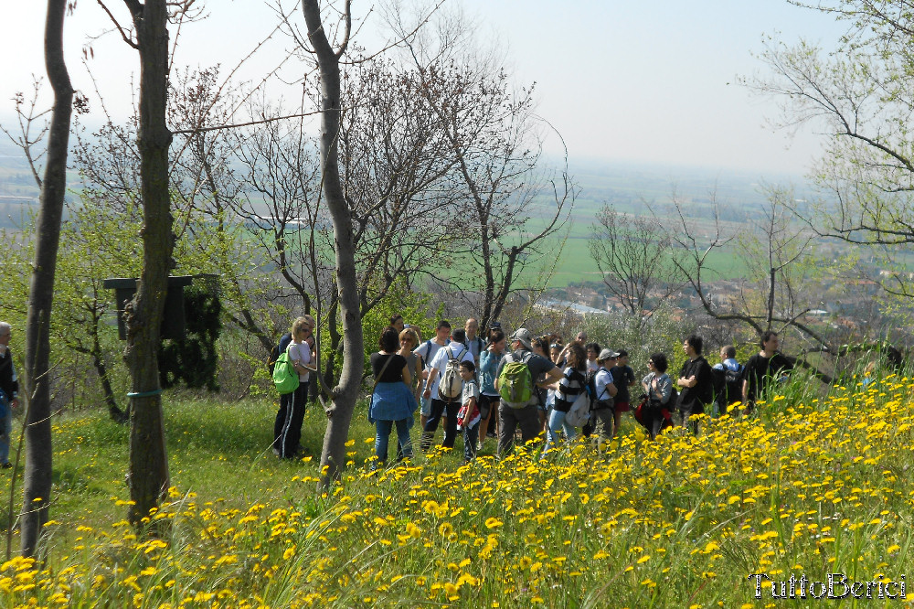 Orgiano, Botteghino, valle dei Mulini, Alonte