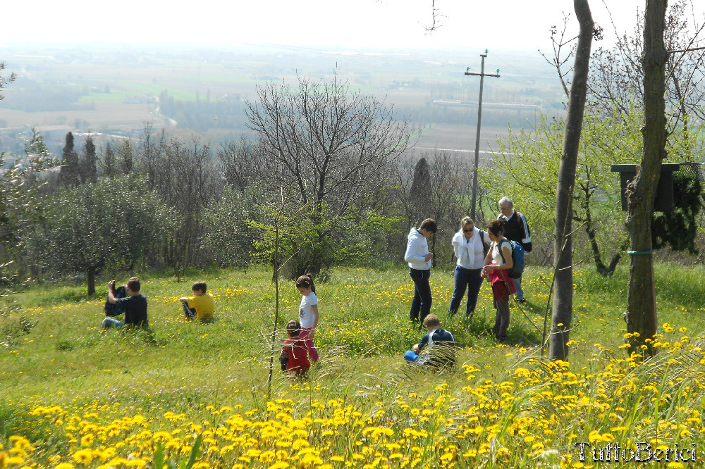 Orgiano, Botteghino, valle dei Mulini, Alonte