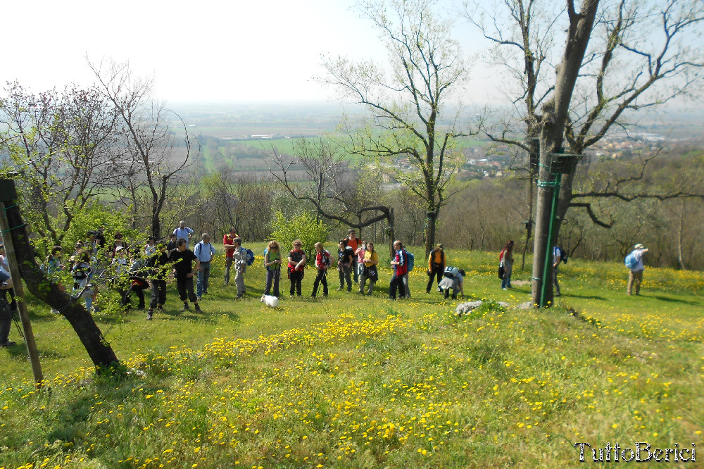 Orgiano, Botteghino, valle dei Mulini, Alonte