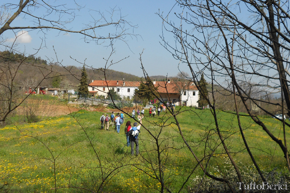 Orgiano, Botteghino, valle dei Mulini, Alonte