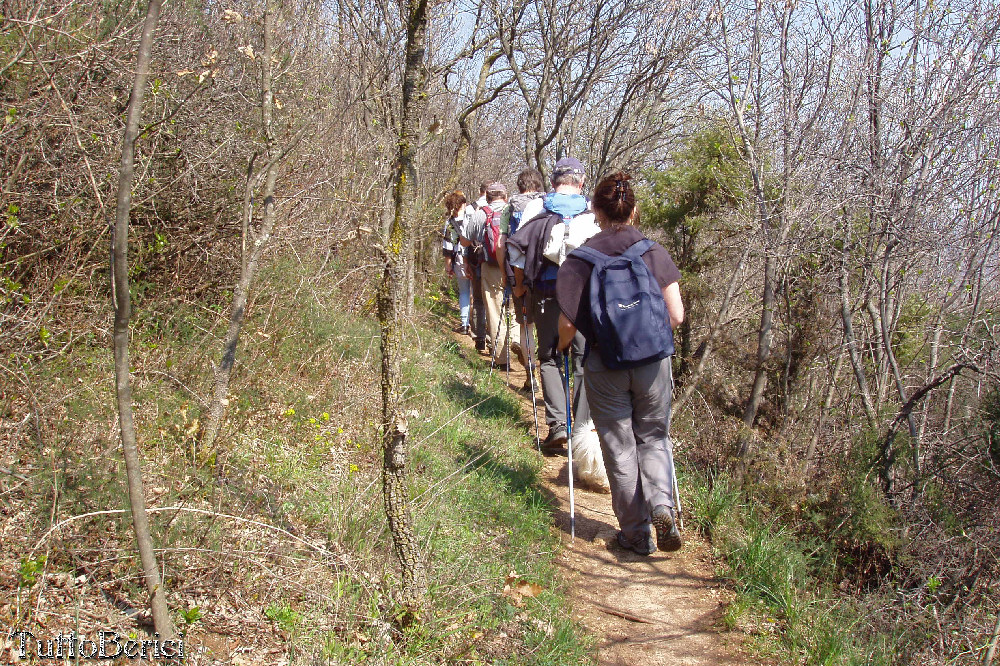 Orgiano, Botteghino, valle dei Mulini, Alonte