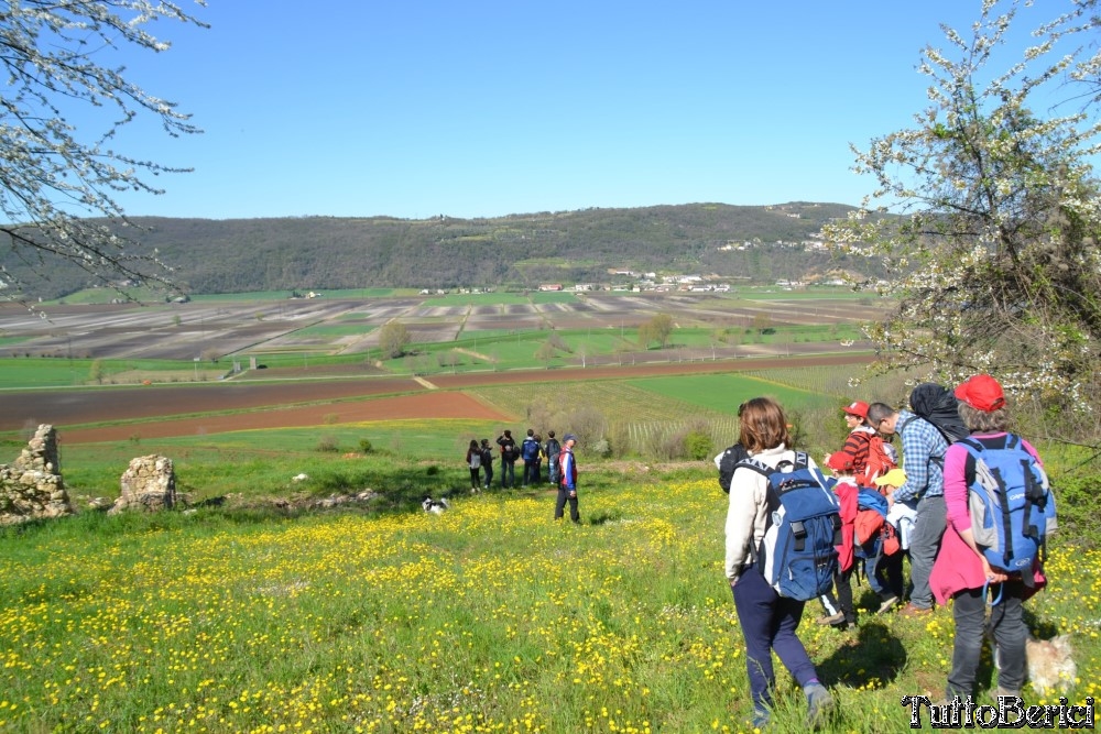 Sossano,Borgo di Campolongo,San Germano dei Berici,Monte Cistorello,Riveselle di Toara,Villaga