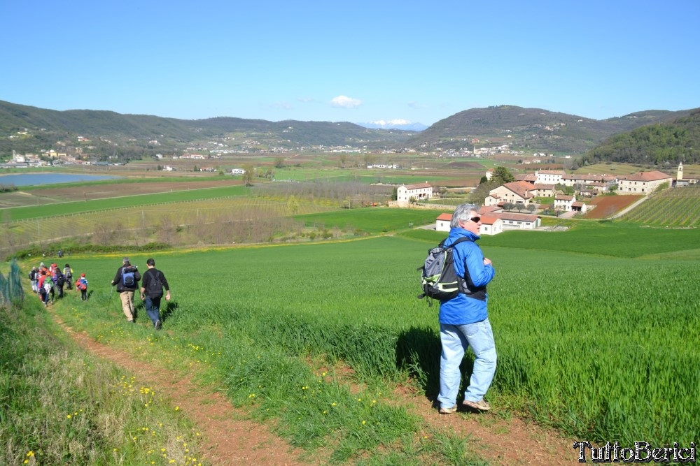 Sossano,Borgo di Campolongo,San Germano dei Berici,Monte Cistorello,Riveselle di Toara,Villaga
