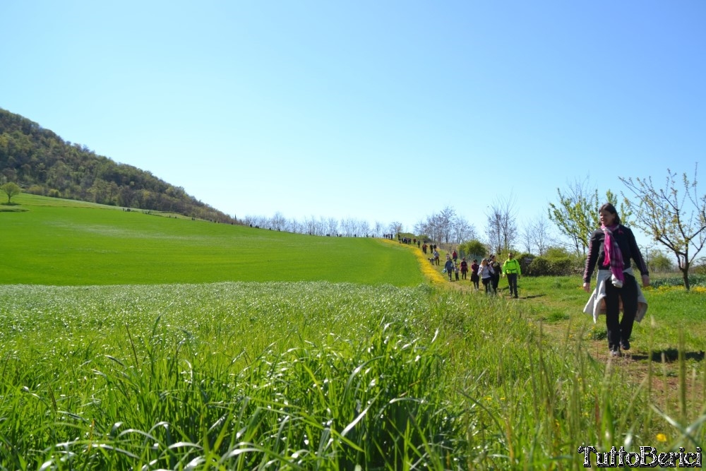 Sossano,Borgo di Campolongo,San Germano dei Berici,Monte Cistorello,Riveselle di Toara,Villaga