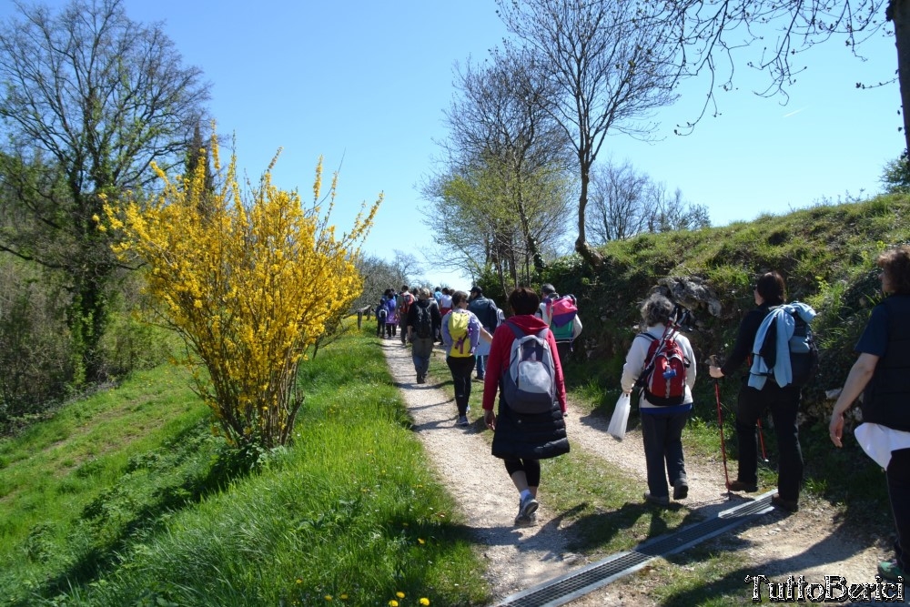 Sossano,Borgo di Campolongo,San Germano dei Berici,Monte Cistorello,Riveselle di Toara,Villaga
