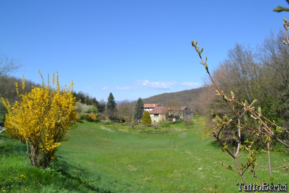 Sossano,Borgo di Campolongo,San Germano dei Berici,Monte Cistorello,Riveselle di Toara,Villaga