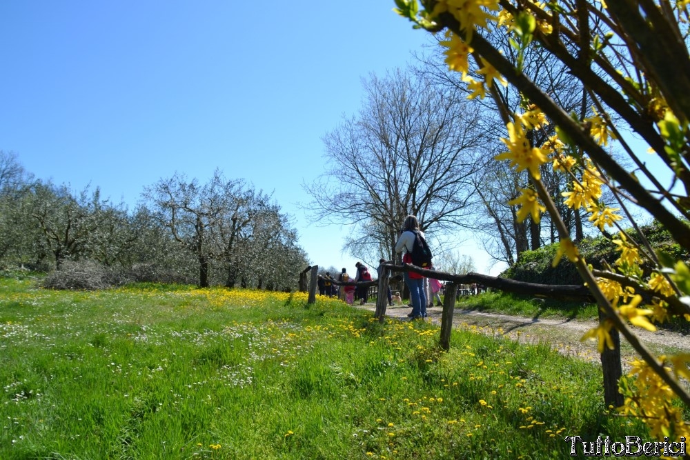 Sossano,Borgo di Campolongo,San Germano dei Berici,Monte Cistorello,Riveselle di Toara,Villaga