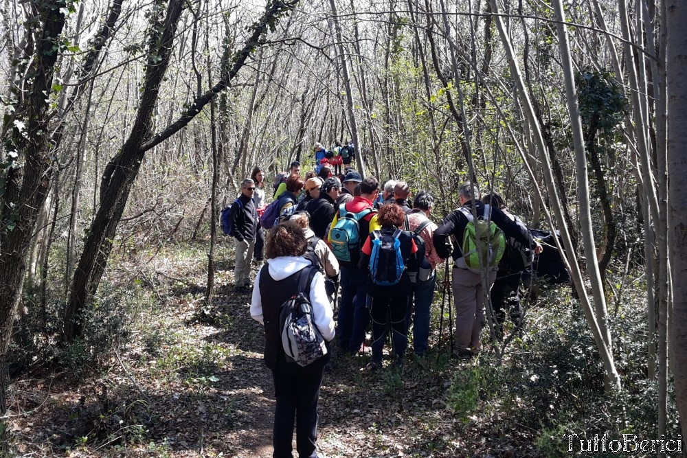 Sossano,Borgo di Campolongo,San Germano dei Berici,Monte Cistorello,Riveselle di Toara,Villaga