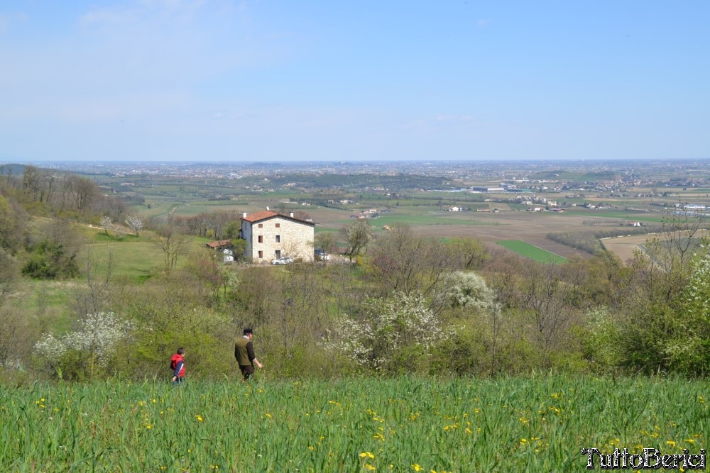 Sossano,Borgo di Campolongo,San Germano dei Berici,Monte Cistorello,Riveselle di Toara,Villaga