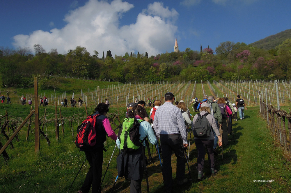 Castegnero, Antica Pieve di Nanto, Covoli di Trene o Balza, Azienda Sermondi-la Sorgente, Covolo Murato o del Merlo di Castegnero