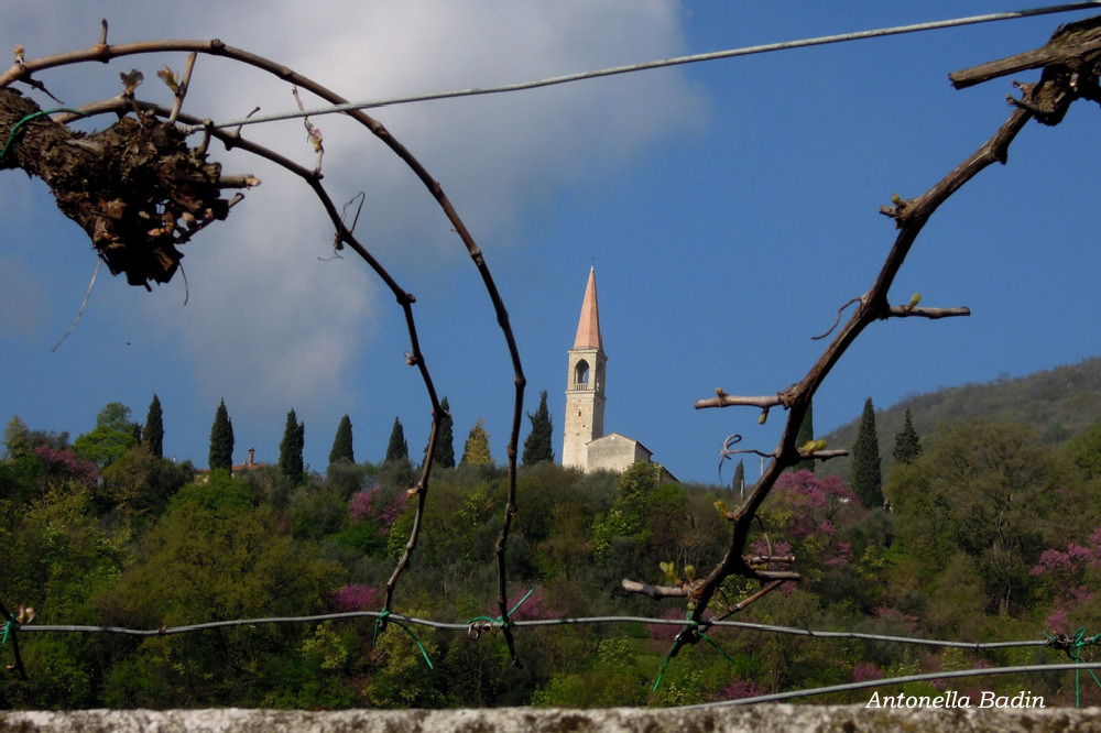 Castegnero, Antica Pieve di Nanto, Covoli di Trene o Balza, Azienda Sermondi-la Sorgente, Covolo Murato o del Merlo di Castegnero