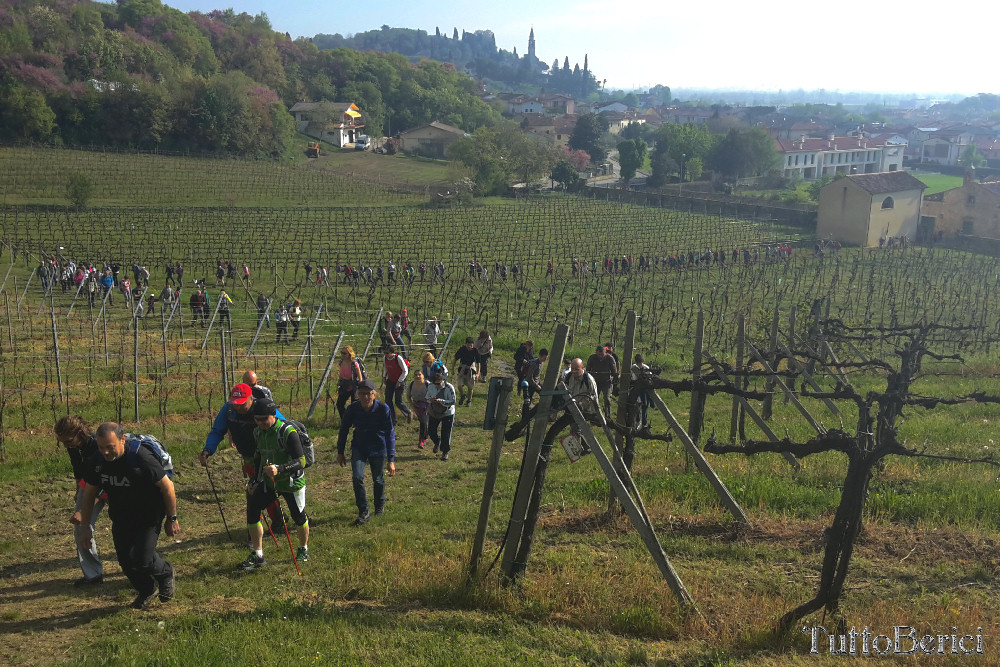 Castegnero, Antica Pieve di Nanto, Covoli di Trene o Balza, Azienda Sermondi-la Sorgente, Covolo Murato o del Merlo di Castegnero