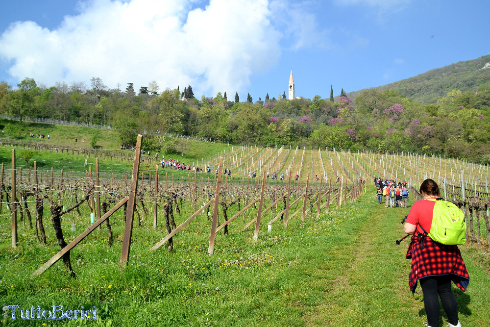 Castegnero, Antica Pieve di Nanto, Covoli di Trene o Balza, Azienda Sermondi-la Sorgente, Covolo Murato o del Merlo di Castegnero