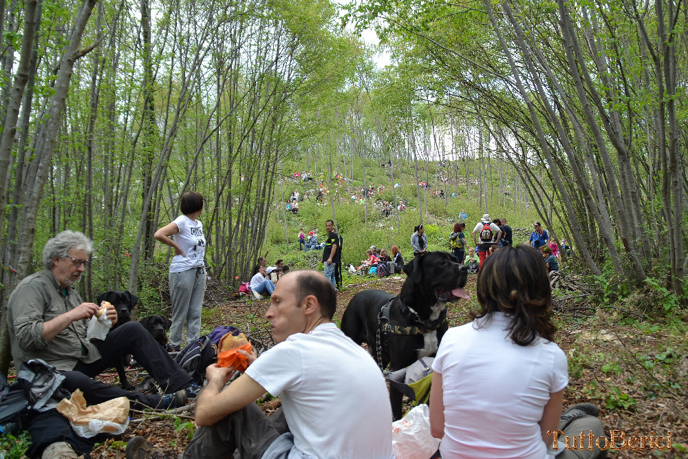 Castegnero, Antica Pieve di Nanto, Covoli di Trene o Balza, Azienda Sermondi-la Sorgente, Covolo Murato o del Merlo di Castegnero
