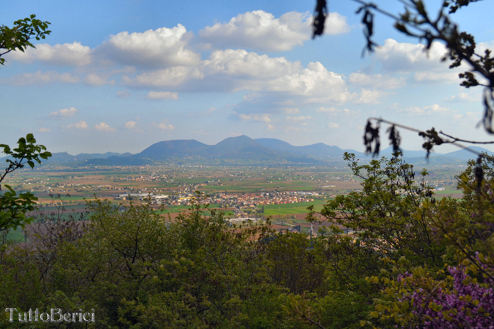 Castegnero, Antica Pieve di Nanto, Covoli di Trene o Balza, Azienda Sermondi-la Sorgente, Covolo Murato o del Merlo di Castegnero