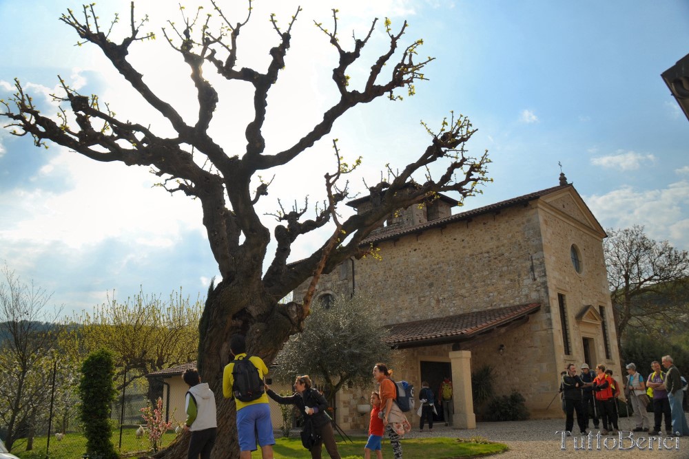 Sarego, Chiesa di S.Eusebio, Museo della Civiltà Contadina, Agriturismo-Fattoria Didattica 'Il Rifugio dei Colori'