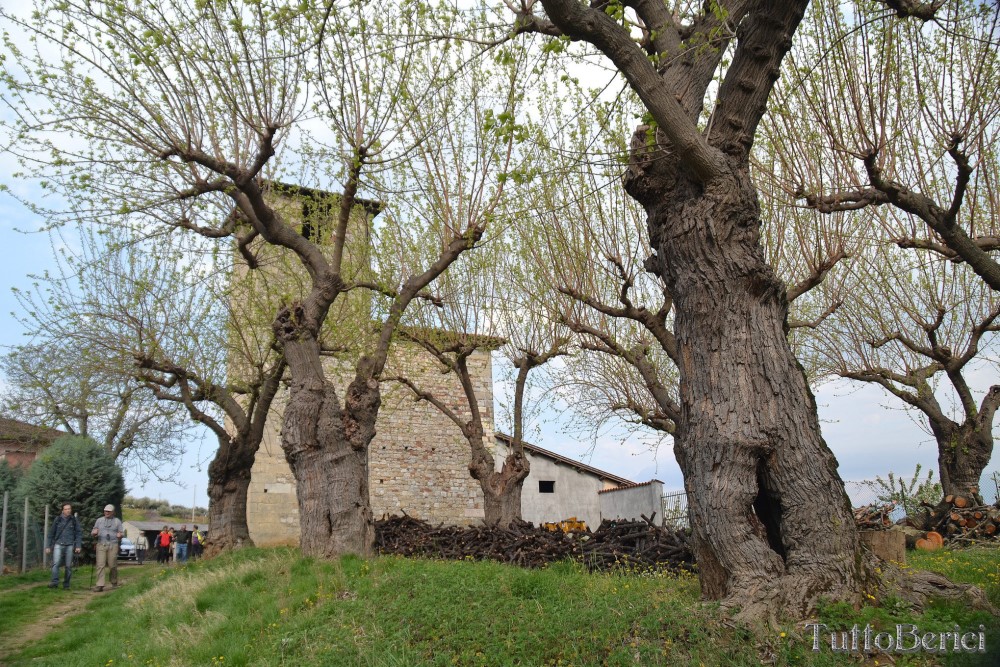 Sarego, Chiesa di S.Eusebio, Museo della Civiltà Contadina, Agriturismo-Fattoria Didattica 'Il Rifugio dei Colori'